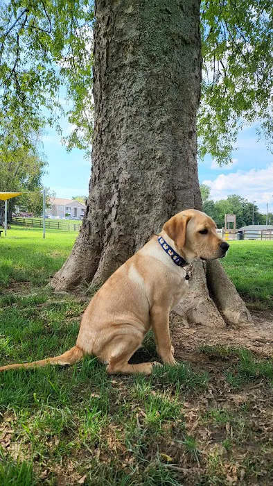 Spring Hill Bark Park 9