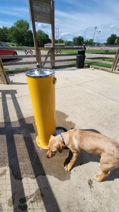 Spring Hill Bark Park 3