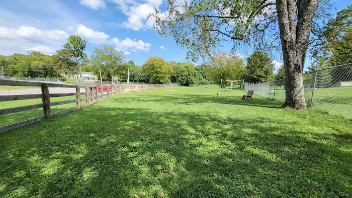 Spring Hill Bark Park 6