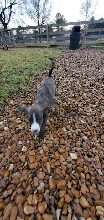 Spring Hill Bark Park 4