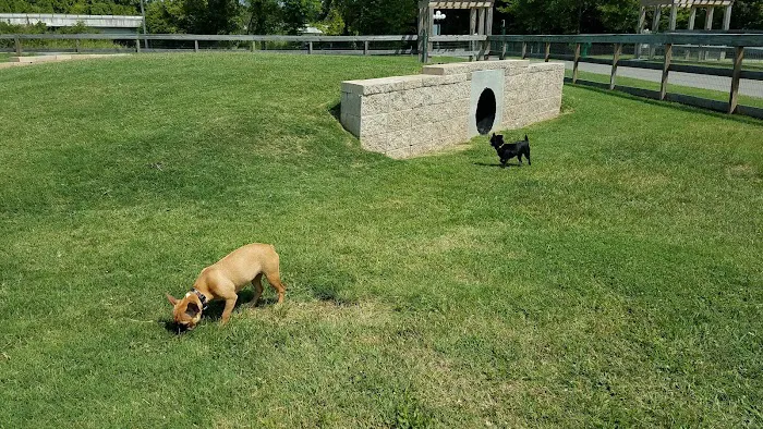 Dog Park 9