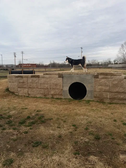 Dog Park 10