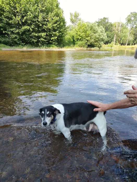 Dog Park 3