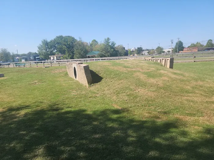 Dog Park 6
