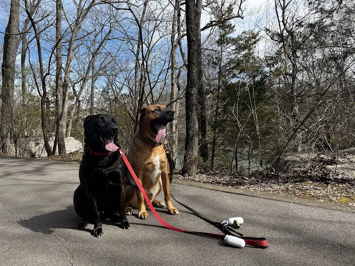 Murfreesboro Bark Park 8