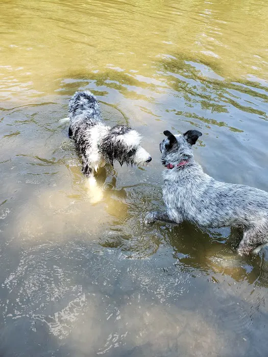Murfreesboro Bark Park 9
