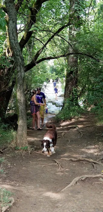 Murfreesboro Bark Park 1