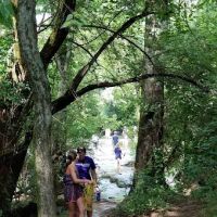 Murfreesboro Bark Park ico