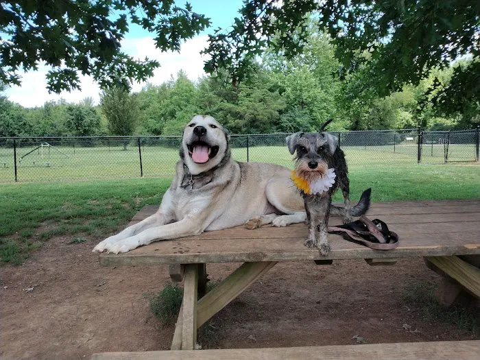 Murfreesboro Bark Park 5