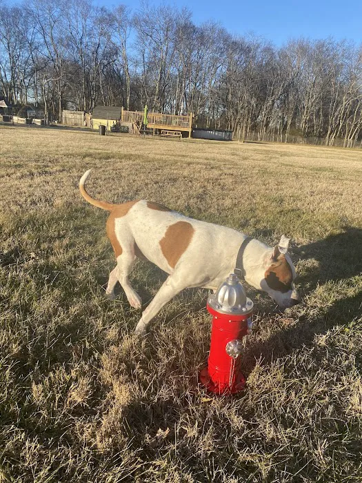 Canterbury Tails Private Dog Park 6