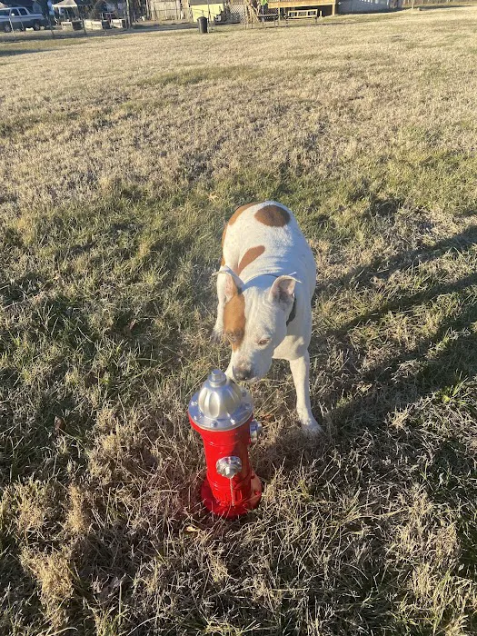 Canterbury Tails Private Dog Park 4