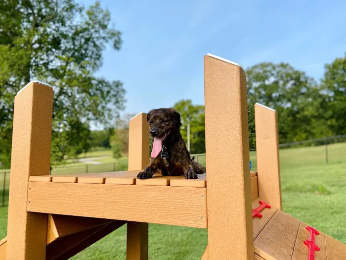 Muletown Bark Park 6
