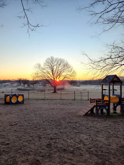 Muletown Bark Park 9