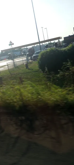 Dog Park at Love's Travel Stops 3