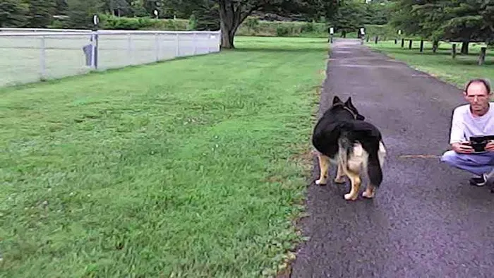 Wartrace Dog Park 4