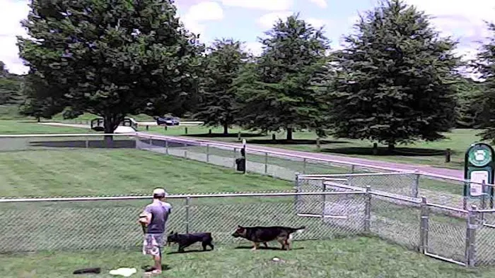 Wartrace Dog Park 6