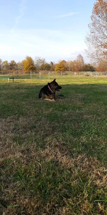 Wartrace Dog Park 3