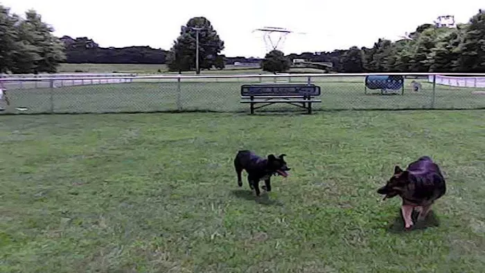 Wartrace Dog Park 1
