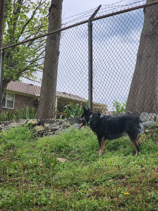 Mount Pleasant Dog Park 9