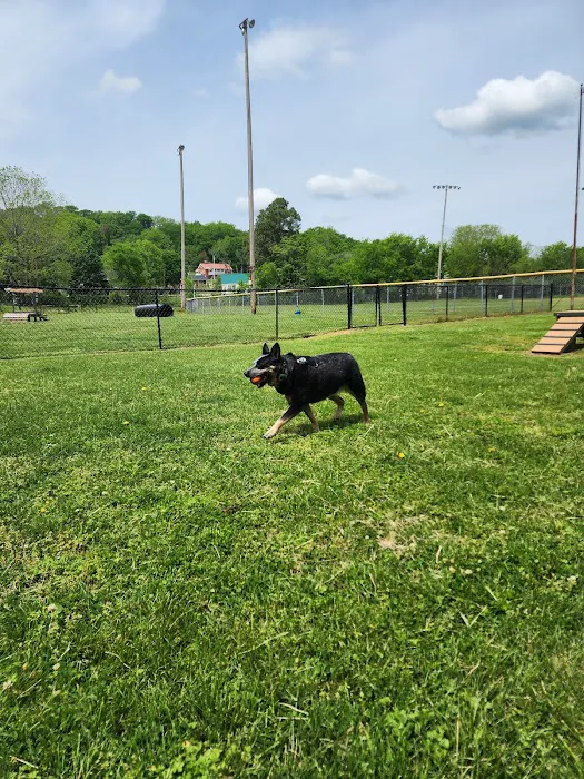 Mount Pleasant Dog Park 3