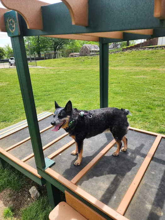 Mount Pleasant Dog Park 6