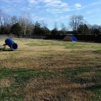 Pet Village Bark Park ico