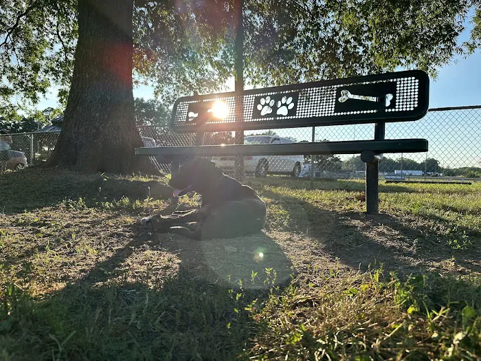 Pet Village Bark Park 7