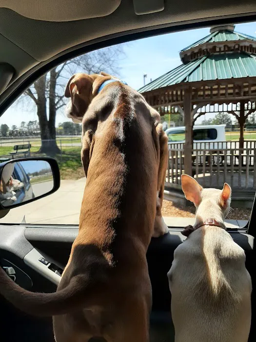 Pet Village Bark Park 10