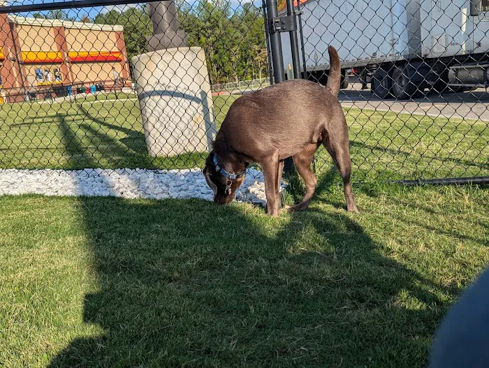 Dog Park at Love's Travel Stops 10