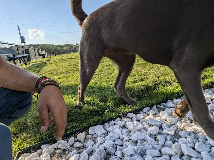 Dog Park at Love's Travel Stops 7