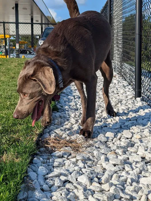 Dog Park at Love's Travel Stops 5