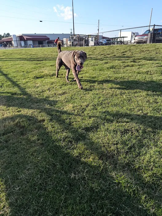 Dog Park at Love's Travel Stops 1