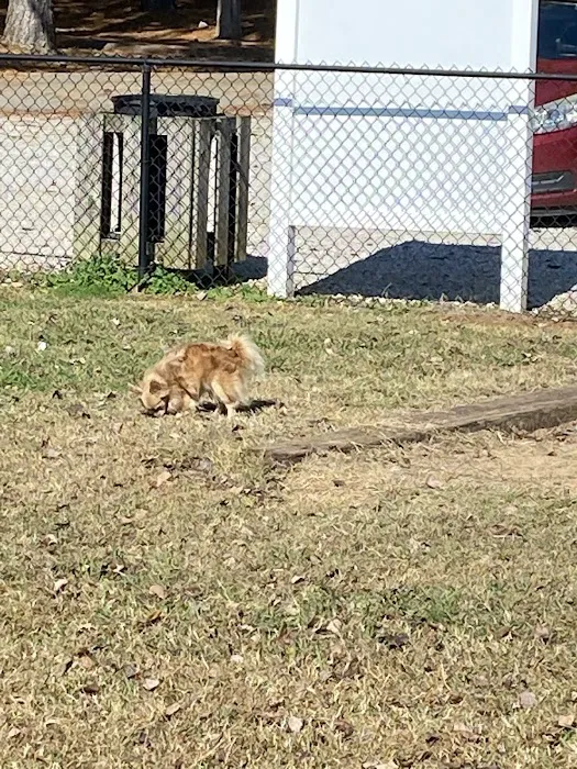 Winchester Dog Park 2