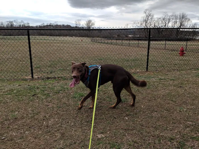 Winchester Dog Park 8