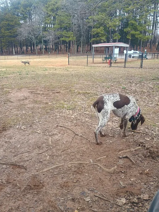 Winchester Dog Park 3