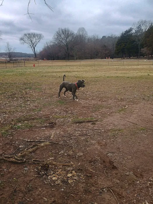 Winchester Dog Park 1