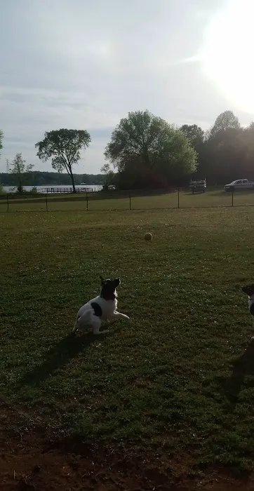 Winchester Dog Park 6