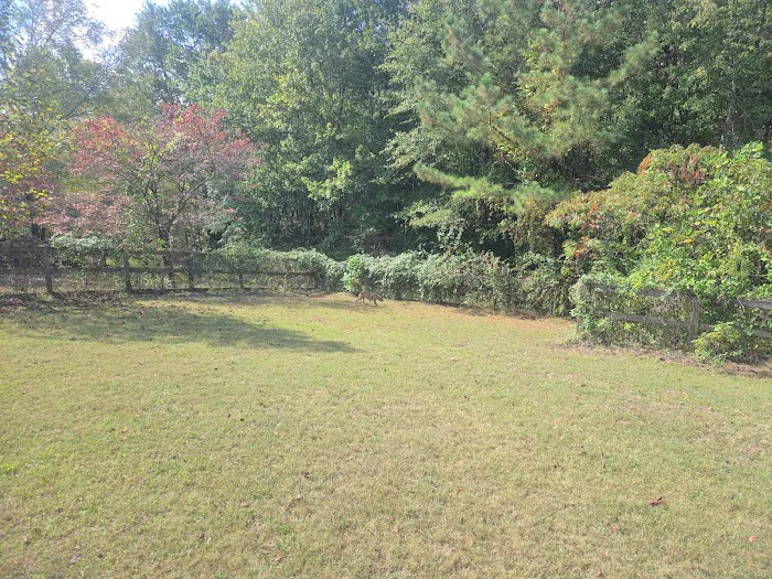 Phil White Dog Park 2