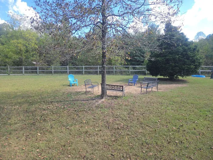 Phil White Dog Park 9