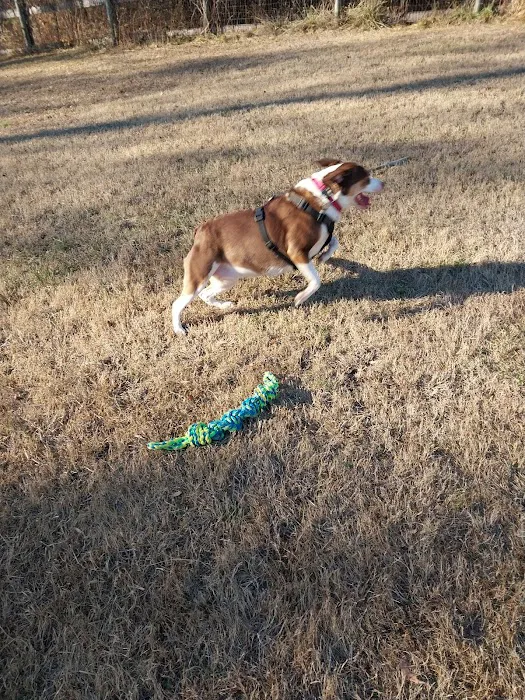 Phil White Dog Park 3