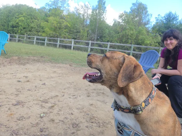 Phil White Dog Park 1