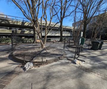 Municipal Building Green Dog Park