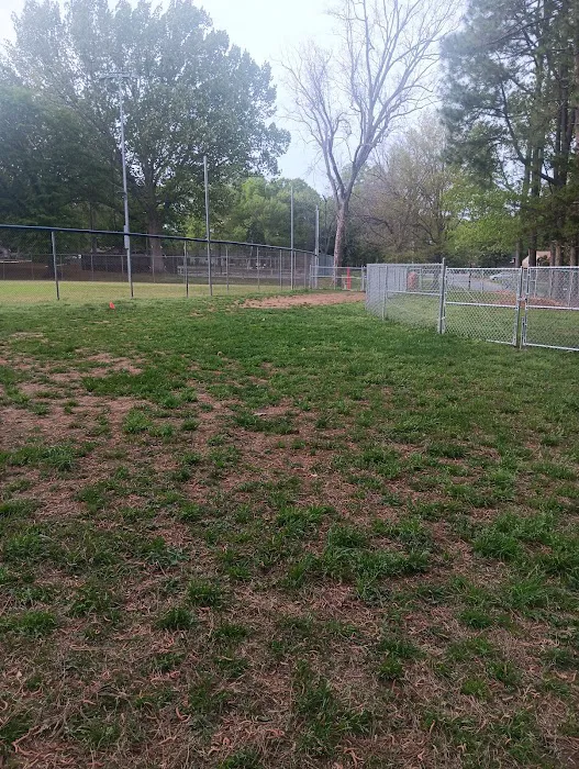 Roberts Park Dog Park 2