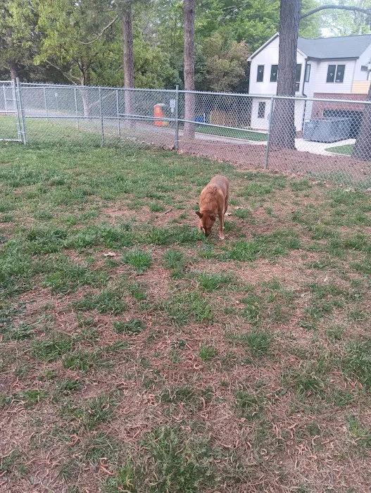 Roberts Park Dog Park 3