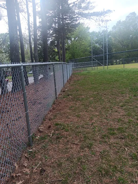 Roberts Park Dog Park 4