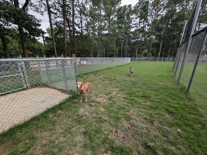 Roberts Park Dog Park 5