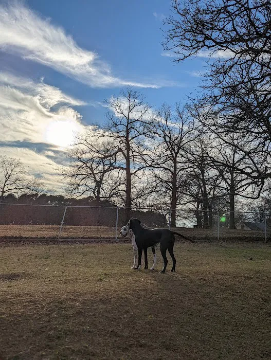 Dog Park at Dix Park 10