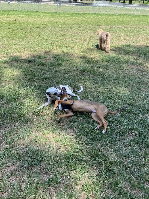 Dog Park at Dix Park 5