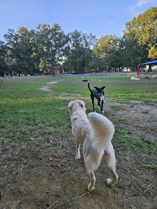 Dog Park at Dix Park 2