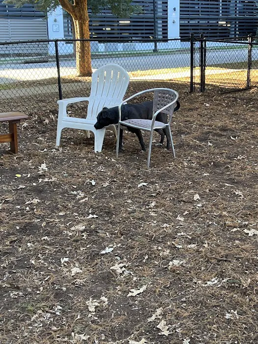 North Hills Dog Park 8